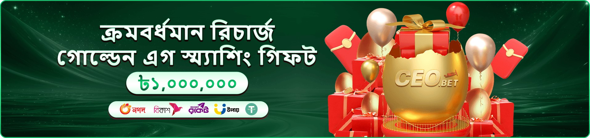 megapari apps প্রচারচিত্র 4